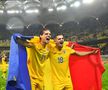 Sărbătoare pe teren după calificarea României la EURO 2024