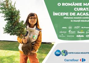 600 de puieți de gorun plantați de voluntarii P&G și Carrefour România în Munții Măcinului