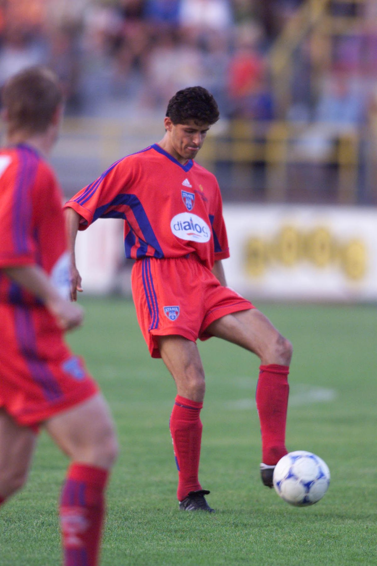 belodedici - steaua rosie, steaua bucuresti, nationala romaniei