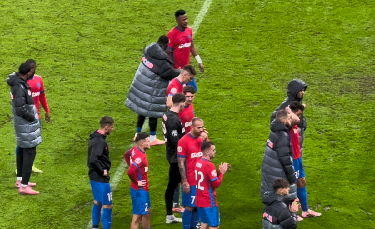 Imagini de la finalul meciului FCSB - Petrolul