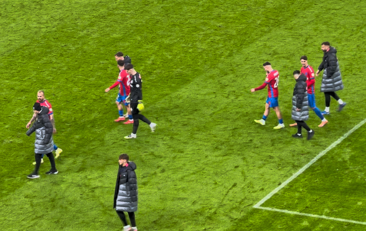 Imagini de la finalul meciului FCSB - Petrolul