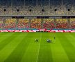 FCSB - Petrolul, imagini înainte de meci de la Arena Națională