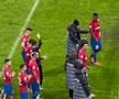 Imagini de la finalul meciului FCSB - Petrolul