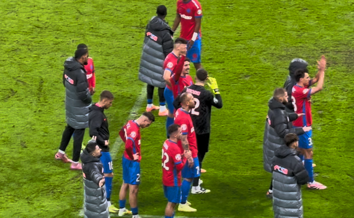 Imagini de la finalul meciului FCSB - Petrolul