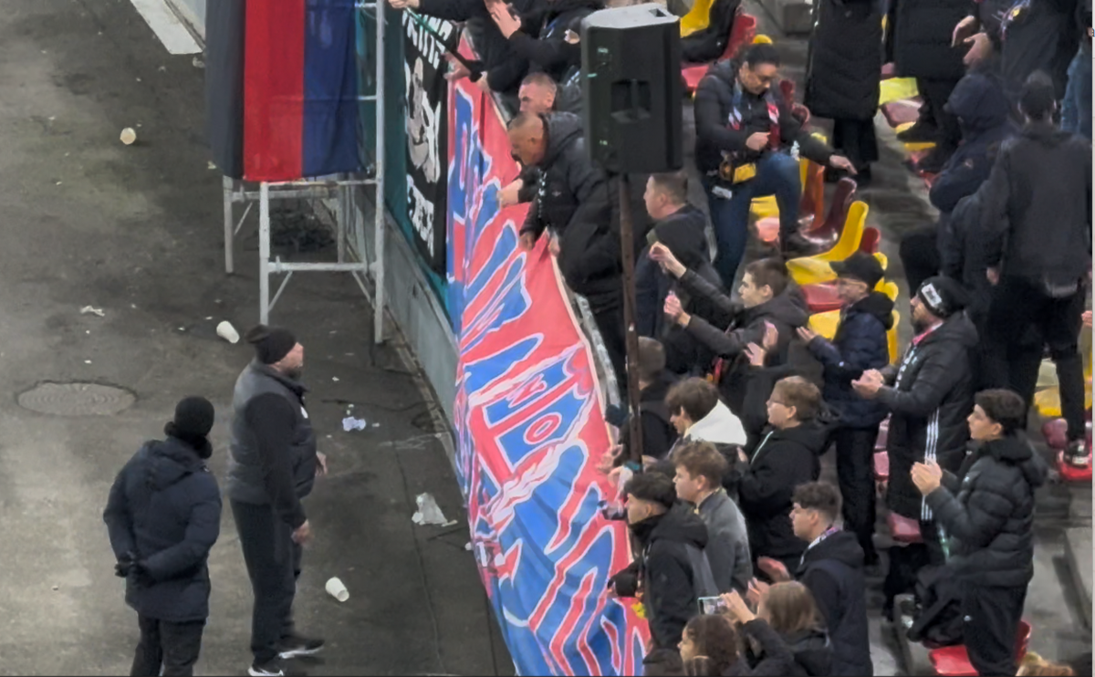 Imagini de la finalul meciului FCSB - Petrolul