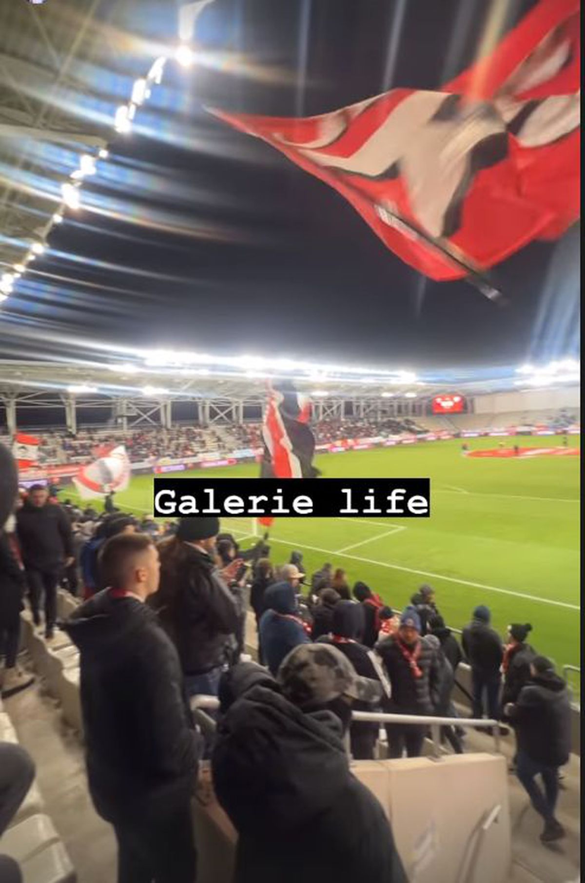 Numărul OFICIAL al spectatorilor prezenți la Dinamo - FC Voluntari » Vedeta „sub acoperire” din galeria „câinilor”