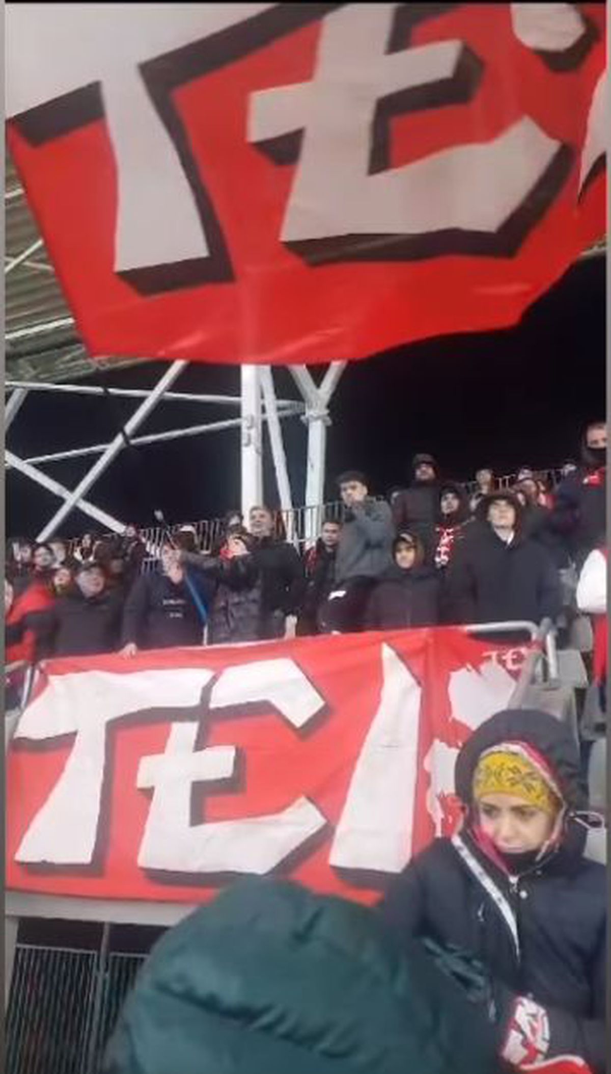 Numărul OFICIAL al spectatorilor prezenți la Dinamo - FC Voluntari » Vedeta „sub acoperire” din galeria „câinilor”