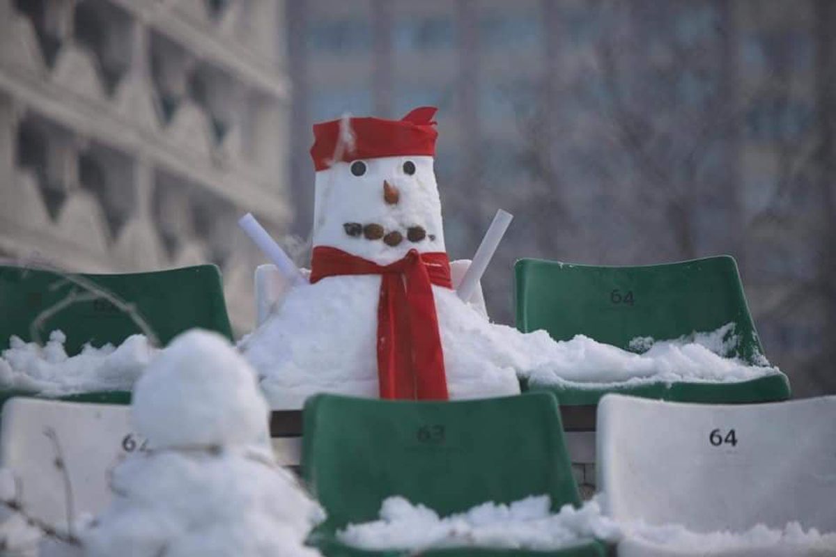 FOTO Sepsi OSK - Astra Giurgiu, cu „fani” în tribune! Inițiativa ingenioasă a covăsnenilor :)
