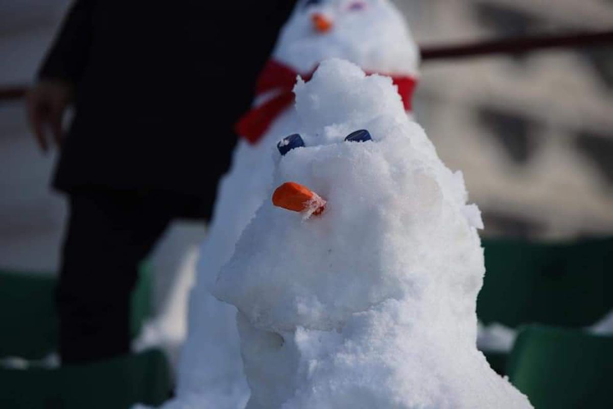 Oameni de zăpadă Sepsi - Astra