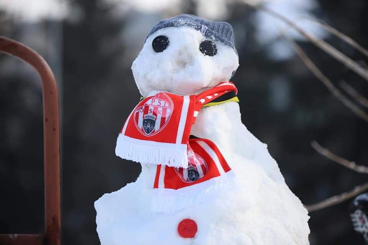 Oameni de zăpadă Sepsi - Astra