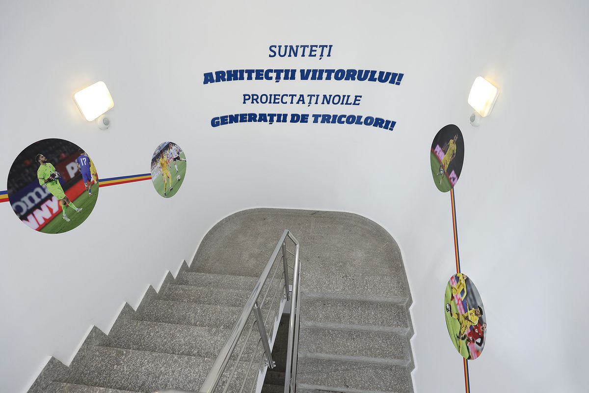 Birouri noi la FRF - Edi Iordanescu