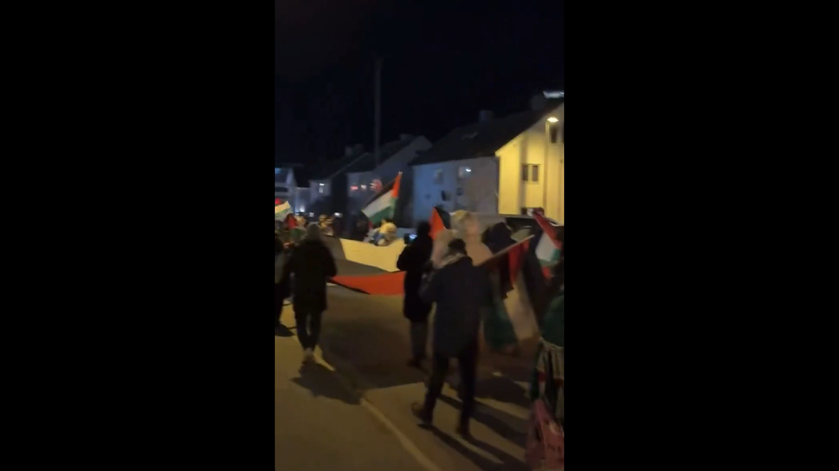 Manifestații pro-Palestina la Bodo/Glimt - Maccabi Tel Aviv