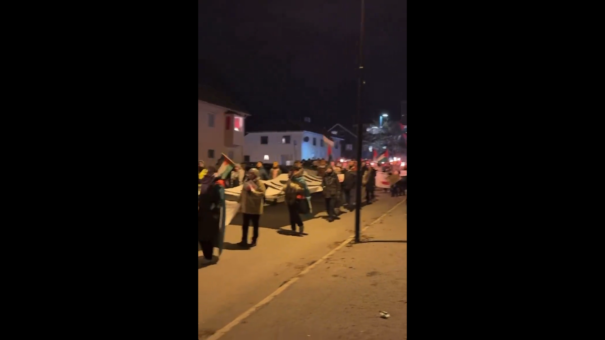 Manifestații pro-Palestina la Bodo/Glimt - Maccabi Tel Aviv