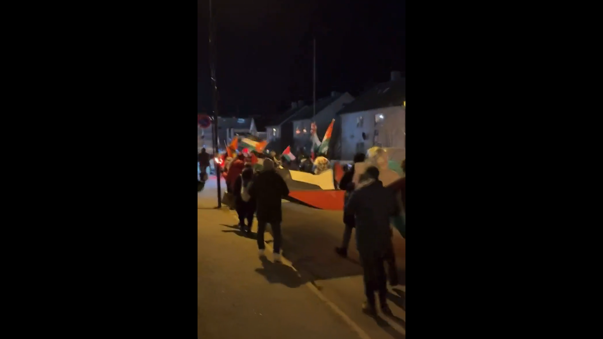 Manifestații pro-Palestina la Bodo/Glimt - Maccabi Tel Aviv