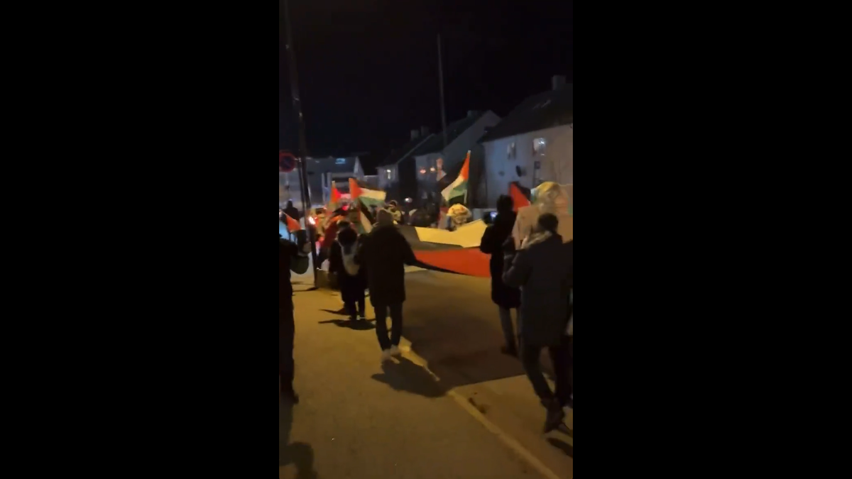 Manifestații pro-Palestina la Bodo/Glimt - Maccabi Tel Aviv