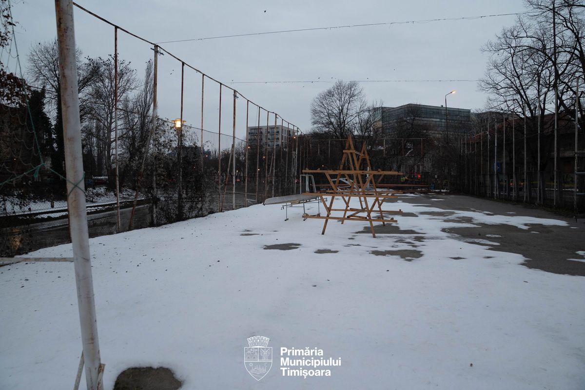 Conflict la Timișoara între Primărie și clubul la care a început canotajul campionul olimpic Marian Enache