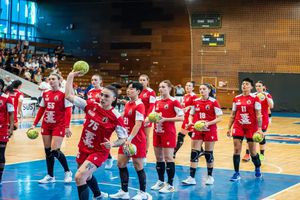 DNA a fost chemată să facă ordine în handbalul românesc