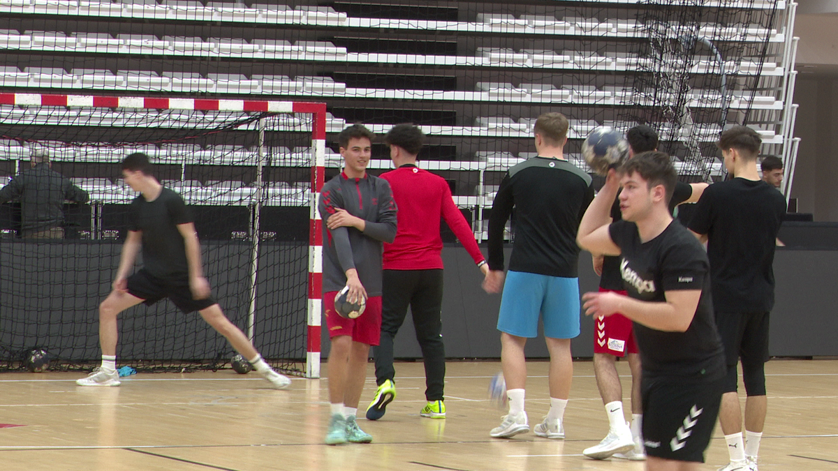 Andrei Negrilă - handbal