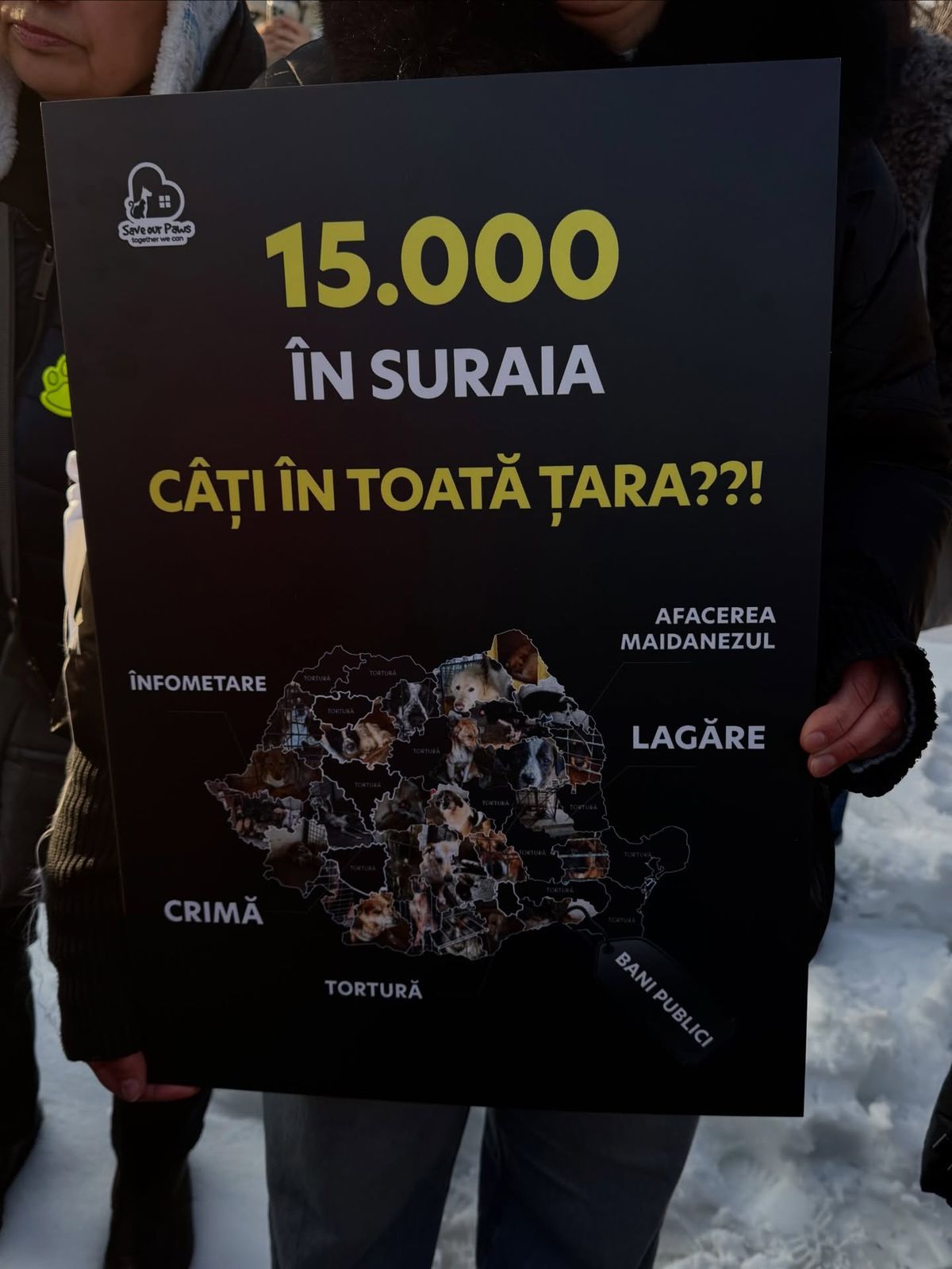 Teodora Stoica la protestul pentru drepturile animalelor