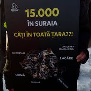 Foto: Facebook Teodora Stoica