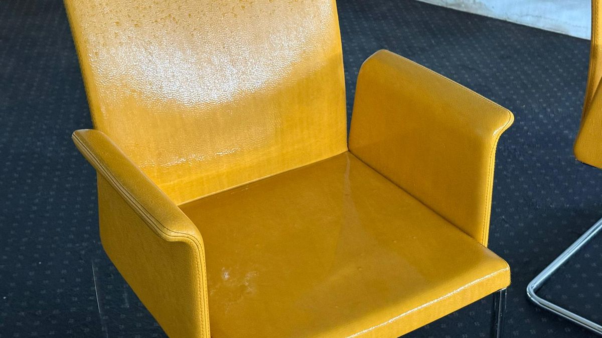 Soluție de avarie incredibilă la Arena Națională, la primul meci al lui Rădoi!