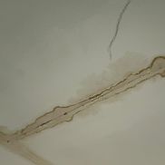 FOTO: Gazeta Sporturilor