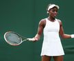 Sloane Stephens, apariții apreciate la US Open 2025
