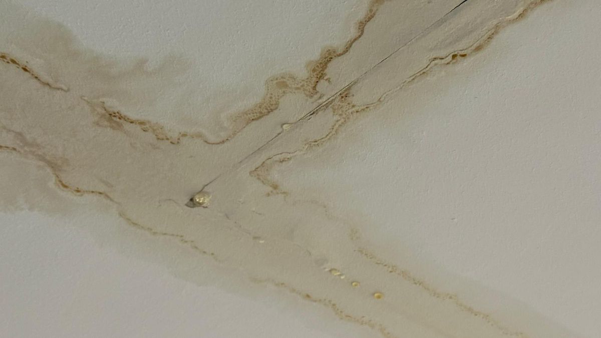 Degradare Arena Națională / FCSB - Metaloglobus