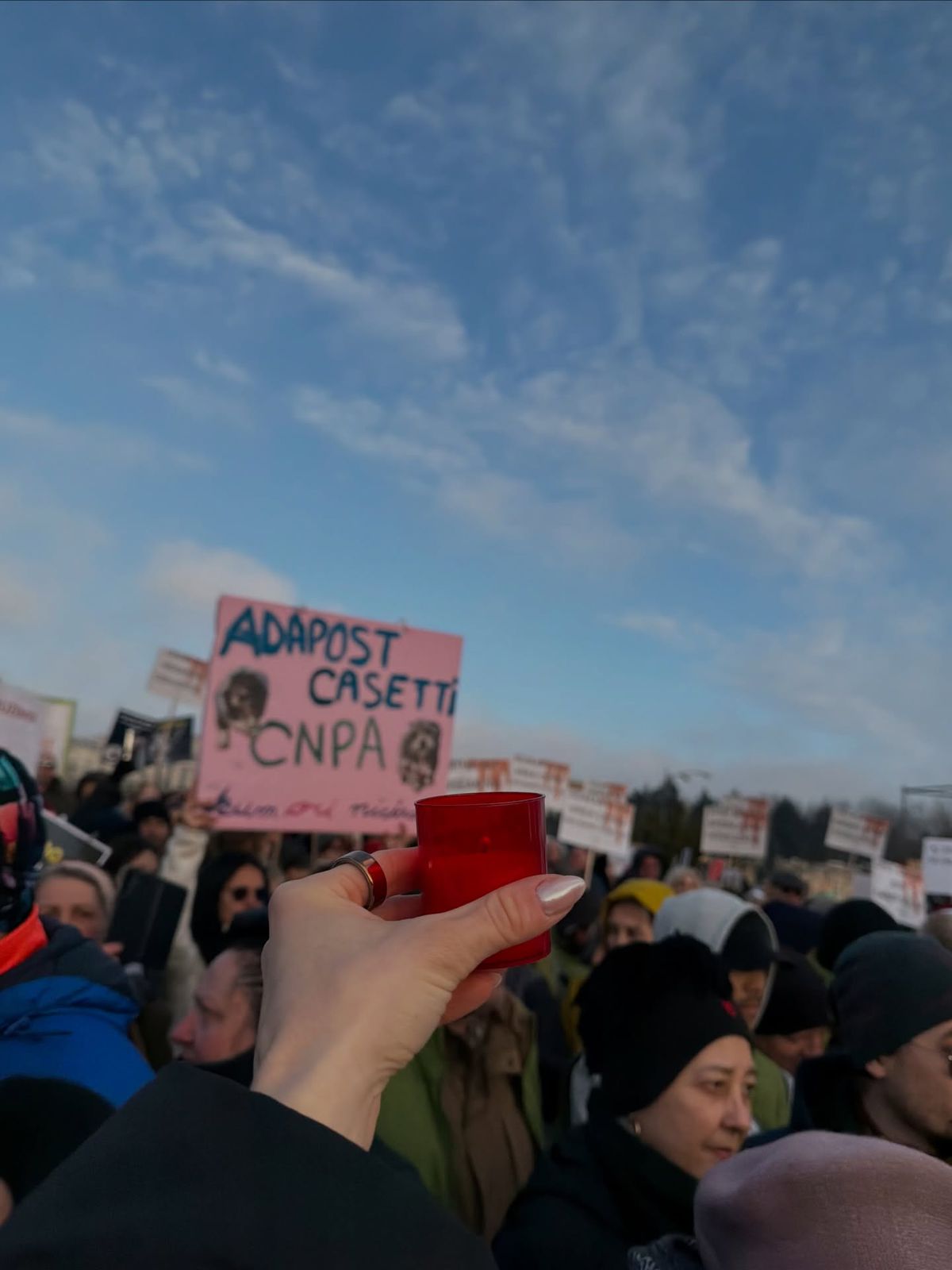 Teodora Stoica la protestul pentru drepturile animalelor