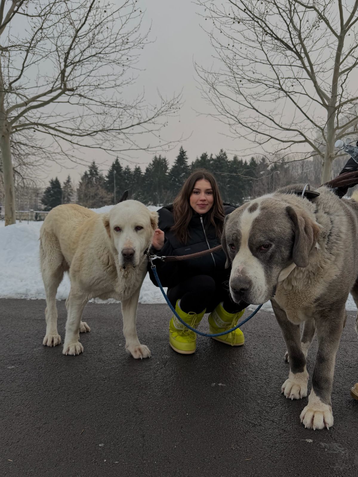 Teodora Stoica și Ionuț Lupescu, printre persoanele ieșite în stradă la manifestația din fața Parlamentului: „M-am întors acasă cu o greutate în piept”