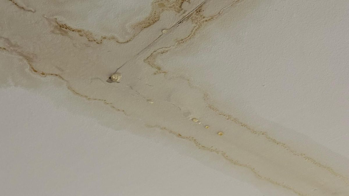 Degradare Arena Națională FCSB - Metaloglobus