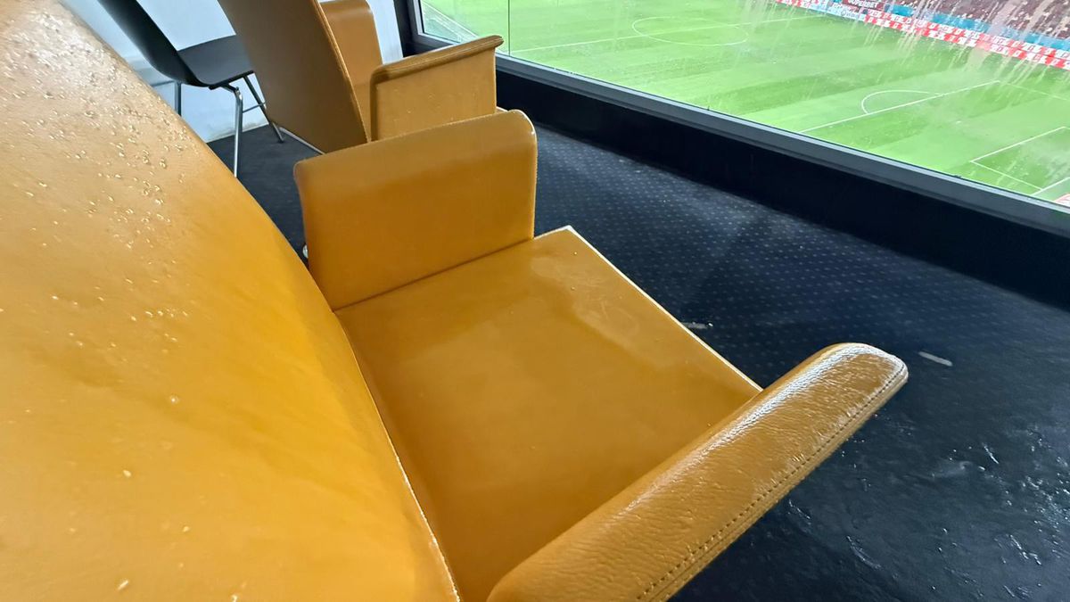 Degradare Arena Națională / FCSB - Metaloglobus