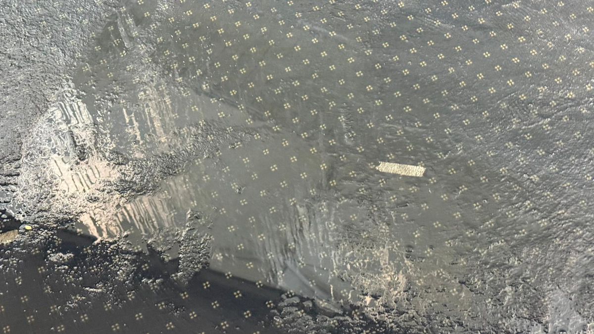 FCSB - Metaloglobus, imagini înainte de meci