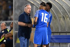 Demisie blitz a lui Dick Advocaat » Cine va fi noul selecționer