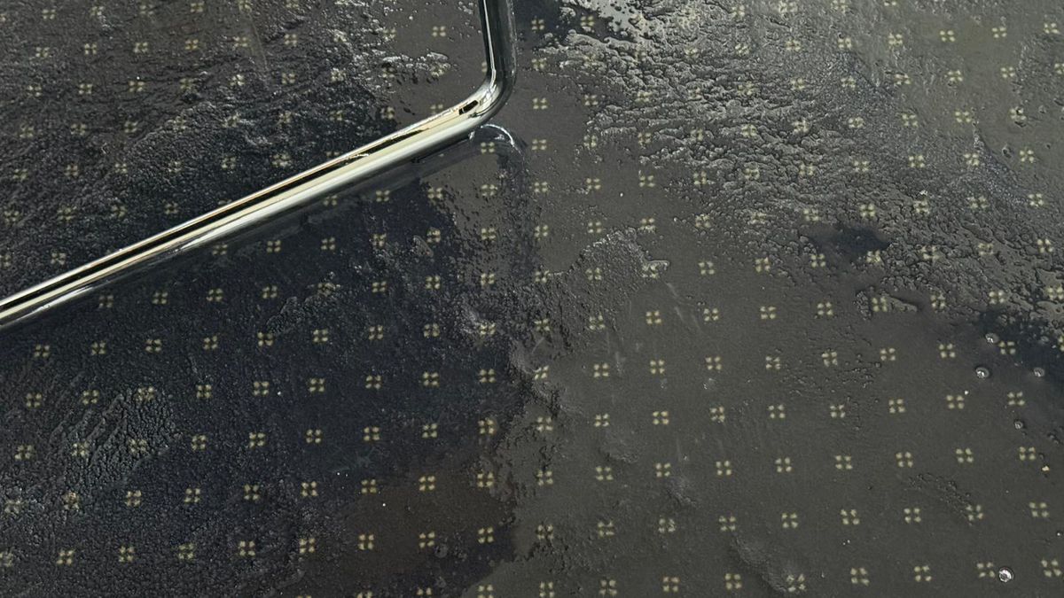 FCSB - Metaloglobus, imagini înainte de meci