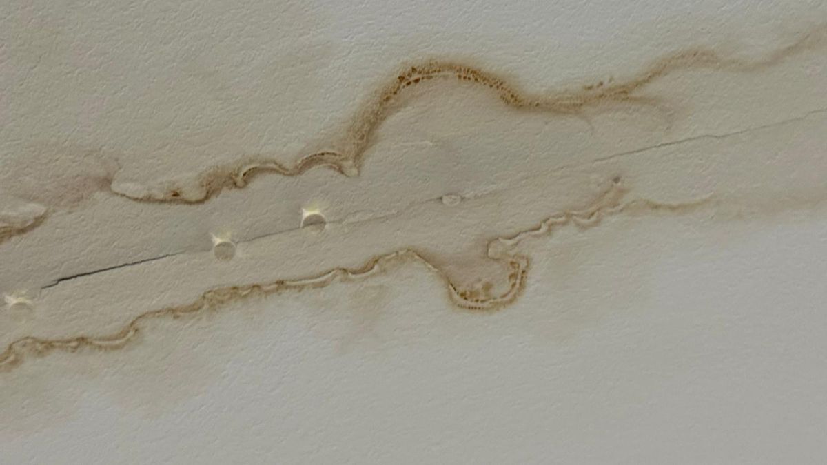 Degradare Arena Națională FCSB - Metaloglobus