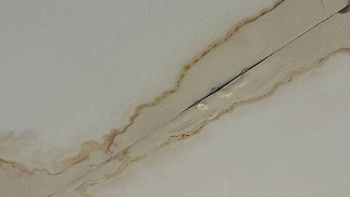 Degradare Arena Națională FCSB - Metaloglobus