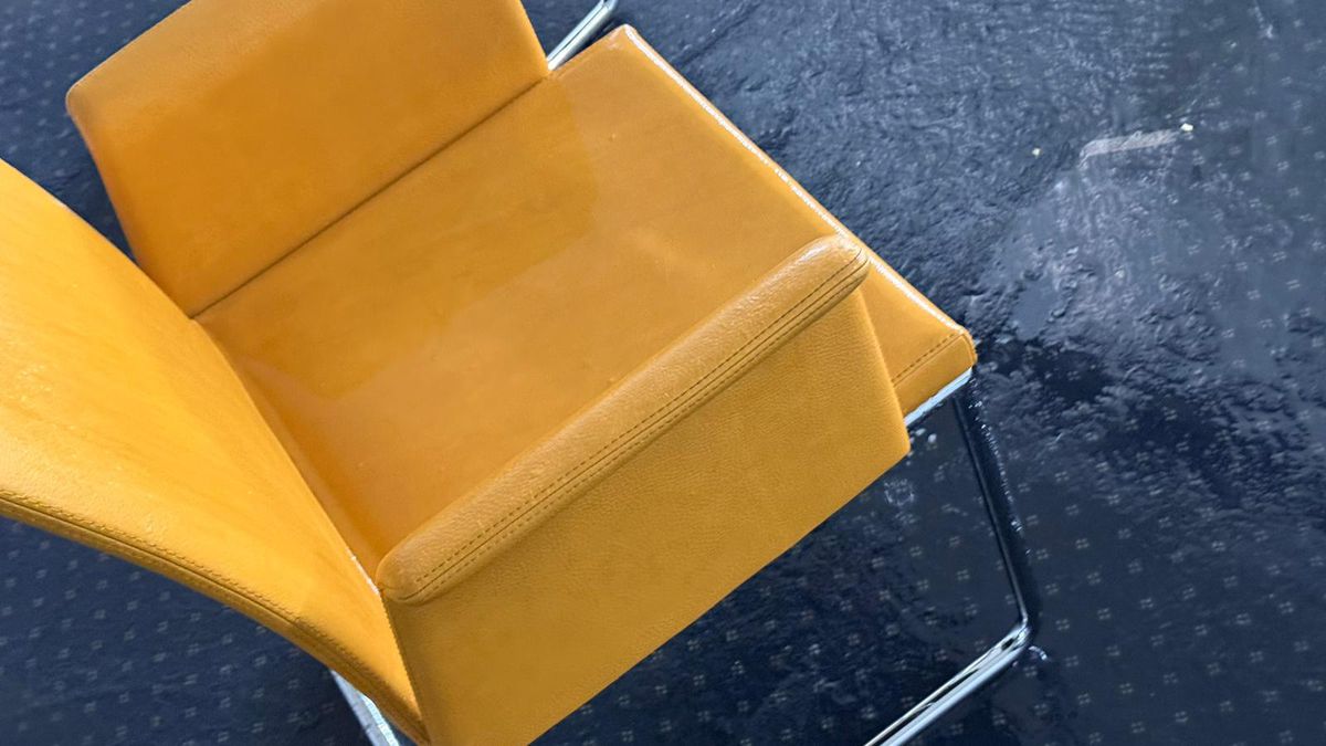 Degradare Arena Națională / FCSB - Metaloglobus