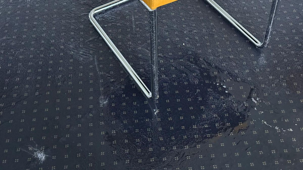 Soluție de avarie incredibilă la Arena Națională, la primul meci al lui Rădoi!