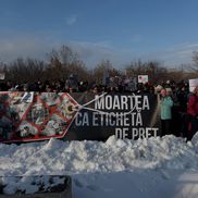 Foto: Facebook Teodora Stoica