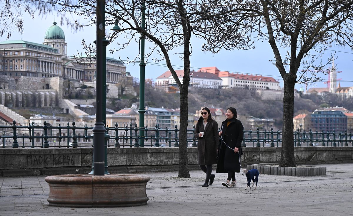 Budapesta - Campionatul European de tineret - martie 2021