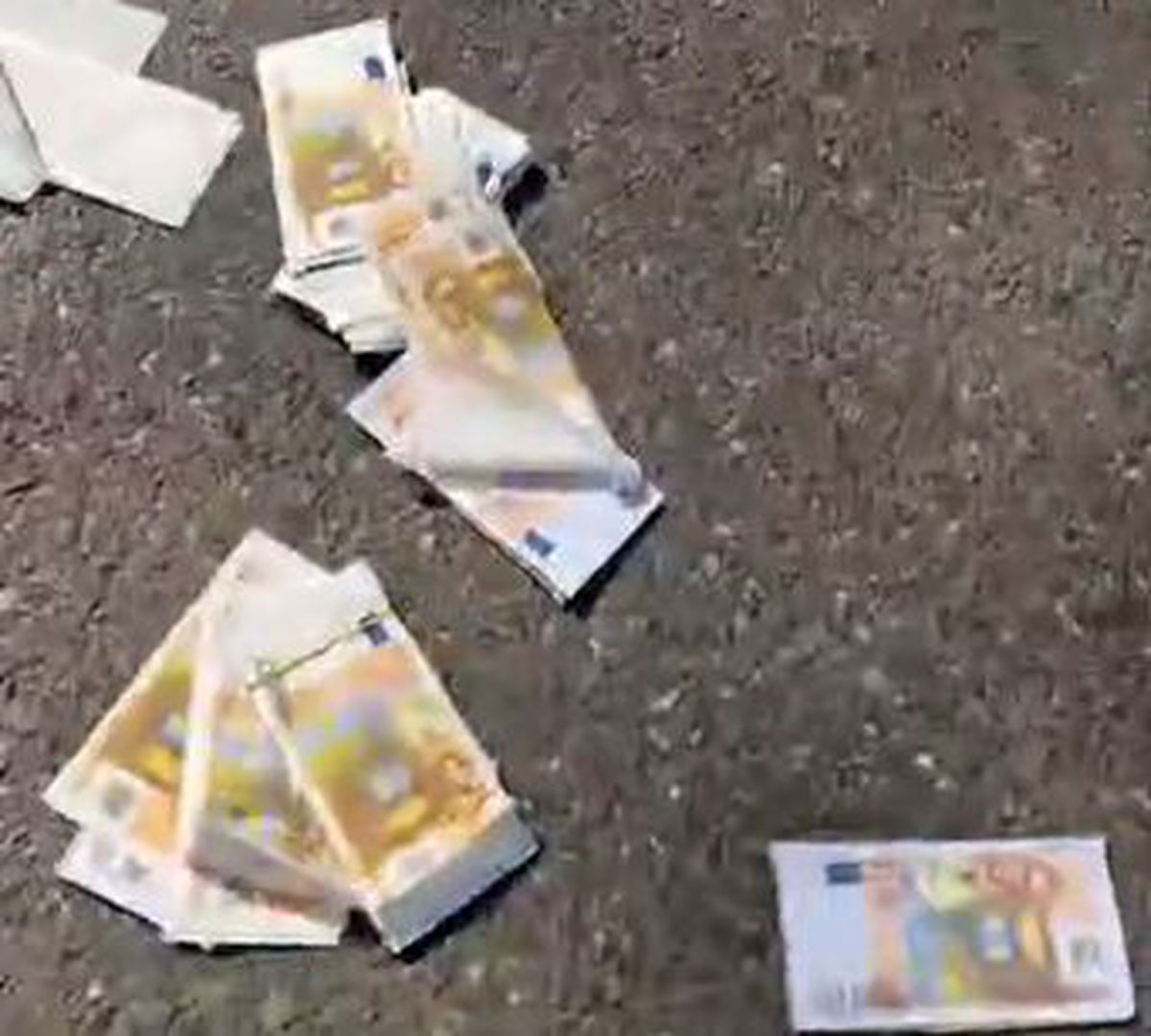 Protest cu macara, bani falși și arestări în fața Ministerului Sportului: „Demisia Eduard Novak!”