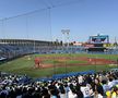 Tokyo baseball