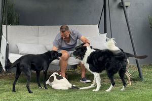 „Imigranții l-au băgat în comă în 5 minute!” » Neamțul celebru din România face o comparație-ȘOC cu țara lui: „Acesta e adevărul! Sunt creștin, nu vreau să fim țară musulmană”