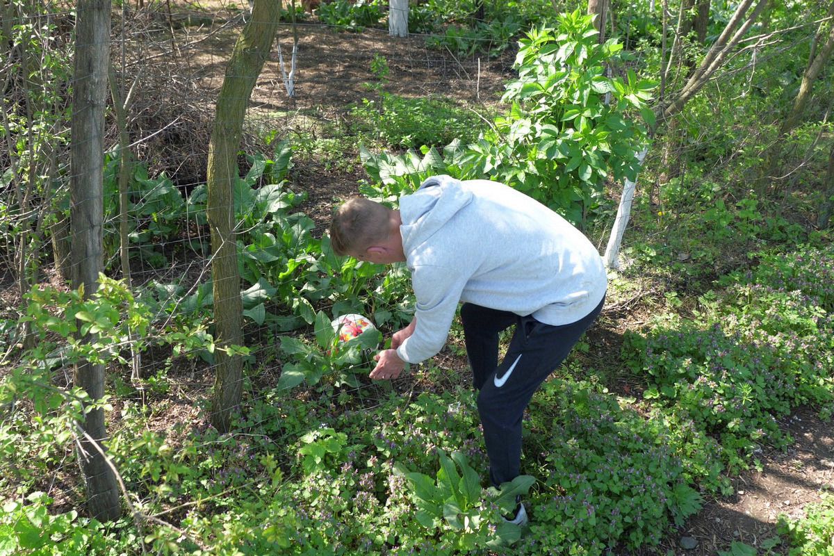 Au curs sute de litri de bere la derby-ul liderului din Dâmbovița: „Suntem ca nea Gigi, toți sunt împotriva noastră” + Scandal cu arbitrul: „Ai luat bani de la ăștia? Ți-au dat primă de Paște?”