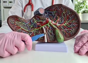 Cum se diagnostichează și cum se tratează hipertensiunea portală?