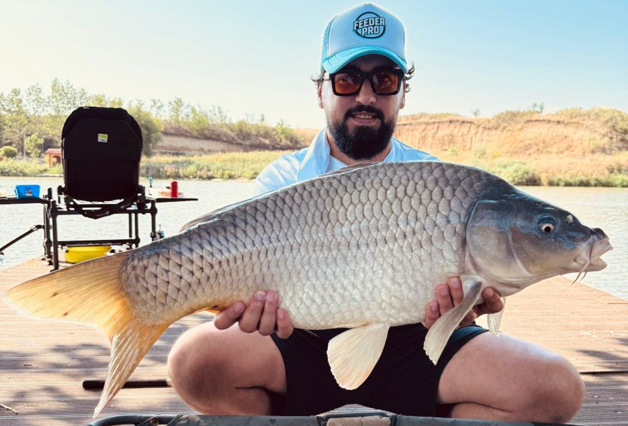 Pescuit la feeder: de la hobby la sport de competiție