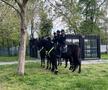 Dinamo - Universitatea Craiova, imagini surprinse înainte de meci