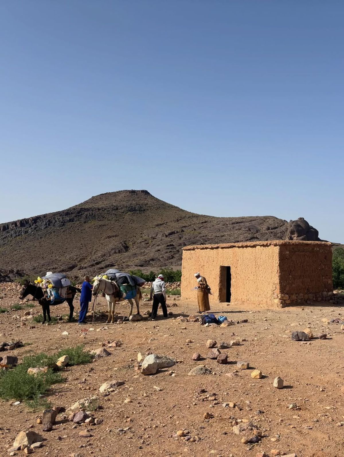 Îl recunoști? Fostul număr 1 ATP, nomad în Munții Atlas: „Casa noastră - mama natură”