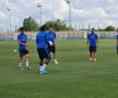 FCSB efectuează antrenamentele în grupuri de câte 4